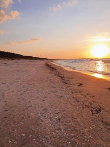 斯蒂格纳APARTAMENTY NADMORSKIE STEGNA BALTIC PARK的阳光下在海洋上的海滩