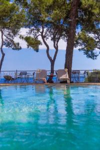阿菲托斯Evripidis Hotel的拥有蓝色海水和树木的游泳池