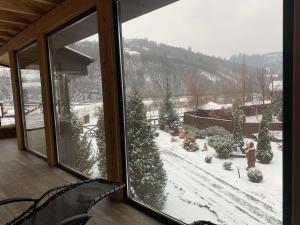 米日吉里亚SPA Hotel Zhyva Voda的从窗户可欣赏到积雪覆盖的庭院的景色