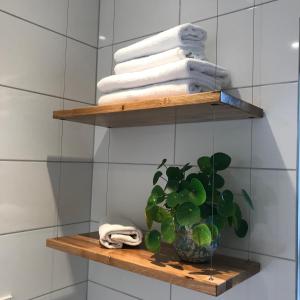 斯莱纳肯Hotel & Appartement de Zevende Heerlijkheid的浴室里摆放着带毛巾和盆子的架子