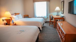 博卡奇卡皇家阿罗普陀圣多明各品质酒店的酒店客房配有两张床和一张书桌