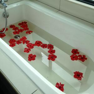 吉隆坡KM1 West Kuala Lumpur, Malaysia的白色浴缸,里面装有红色的鲜花