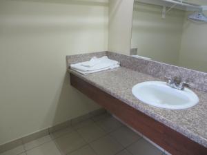 安纳海姆加登格罗夫国家旅馆的浴室的柜台设有水槽和镜子