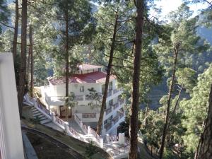 达纳尔蒂Himalayan Splendour Resort的树林中的一座白色的山丘上