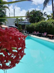 玛丽亚法里尼亚Okakoaras Hotel的前方的带红花的度假游泳池