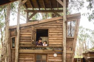 拉埃斯梅拉达Flor de Vida Geocabañas - Tiny的两个孩子从树屋望出去