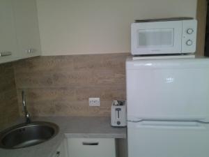 纳尔瓦Lori Apartment的厨房配有水槽和冰箱上方的微波炉