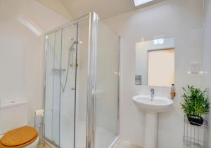 BerriewSmithy Cottage的带淋浴、卫生间和盥洗盆的浴室