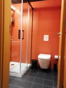 布拉加布拉加拜席斯基本酒店的带淋浴和卫生间的浴室