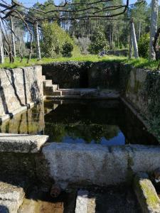 阿马兰特Quinta do Santinho的花园中的一个水池,有楼梯和树木