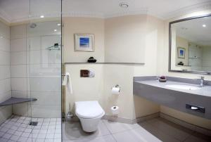 伊丽莎白港海滩酒店 的浴室配有卫生间、盥洗盆和淋浴。