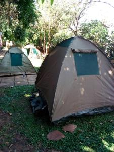 NgomaNaumba Camp and Campsite的坐在草地上的帐篷