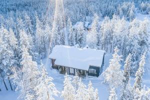 基蒂莱Rentorakka的雪中的一个雪覆盖的小屋 覆盖的森林