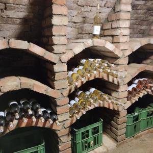 大帕夫洛维采Apartmán Špacír的砖墙,装有酒瓶和酒箱