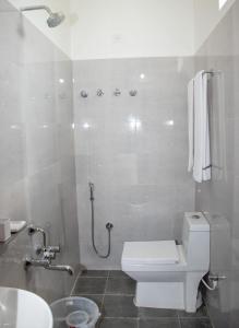 蒂鲁帕蒂Hotel Mount View Comforts的浴室配有卫生间、淋浴和盥洗盆。