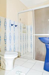 纳塔尔纳塔尔宫殿酒店的一间带卫生间和淋浴的浴室