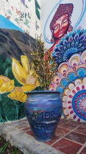 Rada TillyRoots Backpackers的壁画前的蓝色花瓶和植物