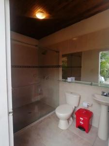 萨兰托Hostal Hilltop Salento的浴室配有卫生间、淋浴和盥洗盆。