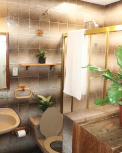 拉戈斯德莫雷诺CASA MADERA的一间带卫生间和水槽的浴室