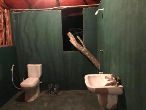 蒂瑟默哈拉默亚拉生态树屋酒店的绿色浴室设有卫生间和水槽