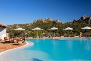 阿尔扎凯纳撒丁岛橄榄园酒店的一个带椅子和遮阳伞的大型游泳池