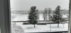 普斯科夫200 м от Кремля и вид на реку!的从窗户可欣赏到积雪覆盖的庭院的景色