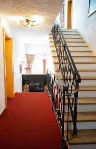佩特诺伊阿尔贝格Das Astrid的铺有红地毯的楼梯和楼梯间