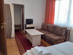 贝尔科维察格罗弗酒店的小型酒店客房设有沙发和电视。