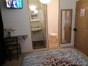 JusseyHOTEL DE LA GARE的带淋浴、卫生间和盥洗盆的浴室