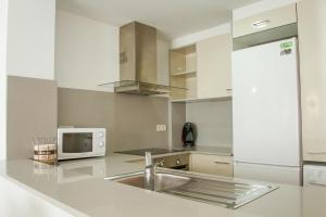 Apartamento Tarter Parc 1 habitación的厨房或小厨房