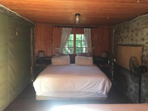 焦济尼Cycad Rock Fishing Lodge的一间带床的卧室,位于带窗户的房间内