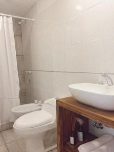 马德普拉塔弗列斯科山林小屋的浴室配有白色卫生间和盥洗盆。