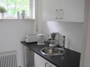 巴登-巴登Appartement Panoramablick的厨房柜台设有水槽和搅拌机