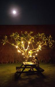 戈卡尔纳Arthigamya Spa & Resort的坐在野餐桌上,坐在一棵灯光照亮的树上的人