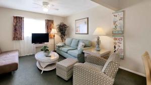 圣徒皮特海滩Carlton House Motel and Suites的带沙发和电视的客厅