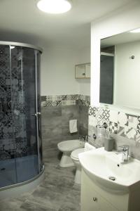 弗格拉什La Podul Cetatii的带淋浴、卫生间和盥洗盆的浴室