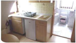 格平根麦克公寓的一间带水槽和洗碗机的小厨房
