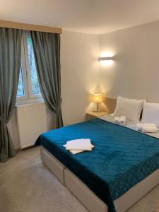 弗尔尼亚奇卡矿泉镇Garni hotel Vir的一间卧室配有一张蓝色的床和窗户