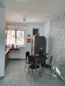 豪伊杜索博斯洛Fischer Apartman的厨房配有桌椅和冰箱。