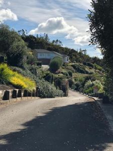 怀蒂昂格Bayview Valley Lodge Bed & Breakfast的路边的房子