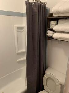 杜波依斯熔岩山小屋酒店的带淋浴帘和卫生间的浴室