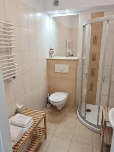 斯维诺乌伊希切Apartament Baltic的一间带卫生间和淋浴的小浴室