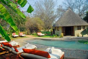 BaganiDivava Okavango Resort & Spa的一个带躺椅和小屋的游泳池的度假酒店