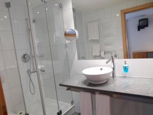 帕尔潘阿尔皮纳巴班酒店的一间带水槽和玻璃淋浴的浴室