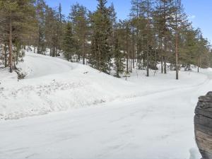 鲁卡Holiday Home Rukakämmekkä by Interhome的林中一条有雪覆盖的道路