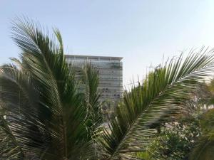 阿卡普尔科ACAPULCO aura009的一座高大的建筑,前面有棕榈树