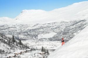 海姆瑟达尔Storelia的站在雪覆盖的山顶上的人