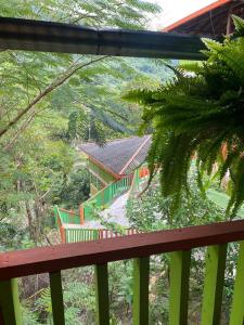 圣玛尔塔Cabañas Ecoturisticas Y Club Gaira Tayrona的从房子的阳台上可欣赏到房子的景色