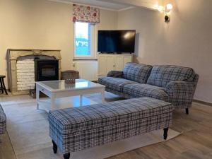 夫洛雷恩Au Bois de Rosée的客厅配有两张沙发和一台电视机