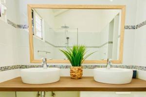 Cul de SacBeautiful suite S14, pool, next to Pinel Island的带大镜子的浴室内的2个盥洗盆